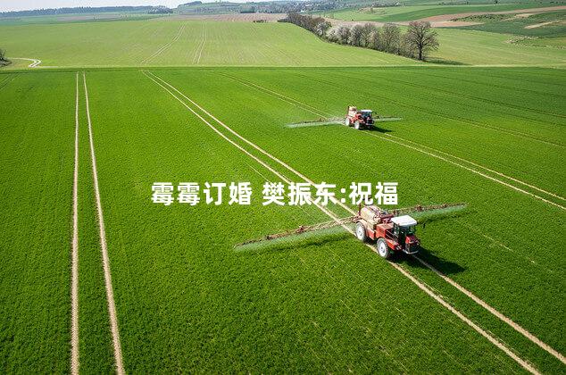 霉霉订婚 樊振东:祝福